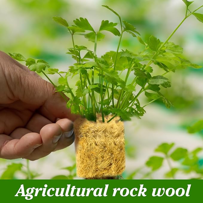 600 Pieces 1'' Rockwool Cubes for Hydroponics, Rock Wool Planting Cubes with 10 Plant Name Tags Rockwool Starter Plugs Mini Blocks for Soilless Cultivation Seedlings Cutting