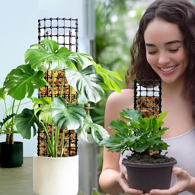Expandable D Shaped Moss Pole, Customizable Width Moss Pole Monstera Plant Support, Stack up to 47 inches in Height, Widen to Any Size, DIY Thickened Transparent Plant Support for Climbing Plants