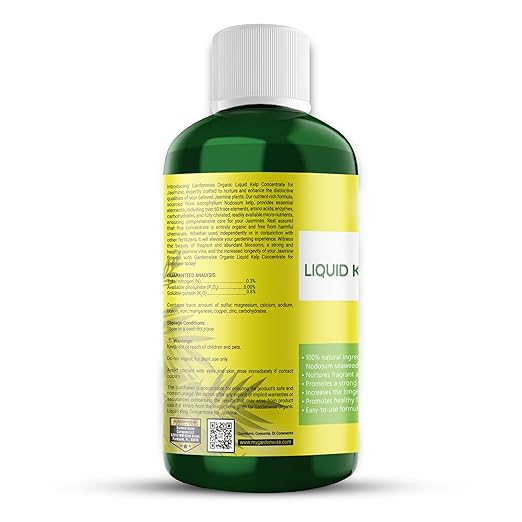 Organic Premium Kelp Seaweed Fertilizer for Jasmin - Liquid Fertilizer - Liquid Plant Food - Nutrient-Rich Soil Enhancer - Natural Plant Food for Jasmin (16 OZ)