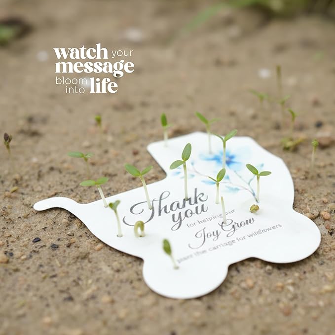 Seed Bloom Carriage-Shaped Seed Paper – 24 pcs Blue Shower Favors for Guests with Wildflower Seeds, Writable & Plantable, Gender Reveal, Birthday Gifts for Guest