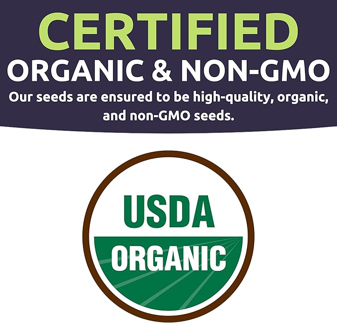 Organic Shishito Pepper Seeds – Two Seed Packets! – Approx 30 Open Pollinated Non-GMO Seeds Per Packet (60 Total) – Sweet Yards Seed Co.