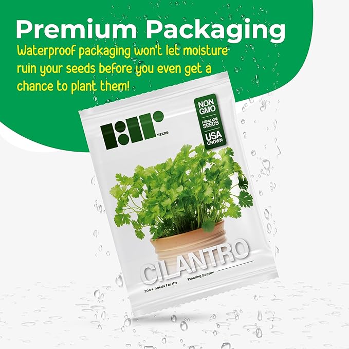 500+ Cilantro Seeds for Planting - Heirloom Non-GMO USA Grown Herb Seeds in Premium Protective Packaging - AKA Coriander, Chinese Parsley, Coriandrum Sativum - by RDR Seeds