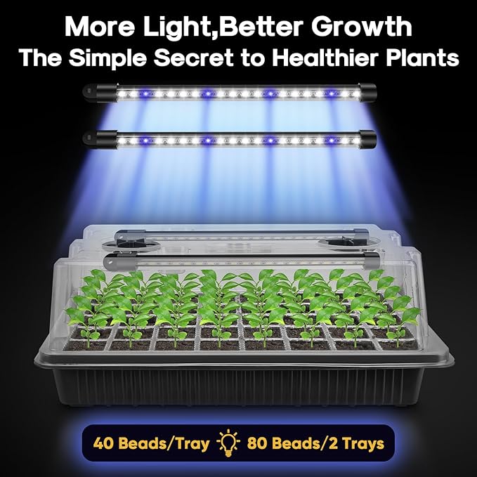 BlumWay Seed Starter Tray with Grow Light,2 Pack 80 Cells Seedling Tray Kit with Humidity Dome/Indoor Plant Starter Kit, Adjustable Brightness Plant Germination Trays-Black