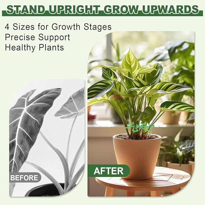 32pcs Plant Stem Support, Plant Support for Indoor Plants, 4 Sizes Climbing Houseplant Stem Holders, Reusable Plant Stabilizer, Indoor Plants Accessories