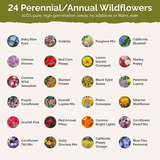 Eden Brothers Oregon Wildflower Mixed Seeds for Planting, 1/4 lb, 120,000+ Seeds with Bluebell, Cornflower | Attracts Pollinators, Plant in Spring or Fall, Zones