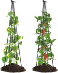 Garden Trellis for Climbing Plants Outdoor, 67" Tall Metal Obelisk Trellis Climbing Plants Support for Vegetable|Flower|Vine, Tomato, Peas, Beans, Cucumber, Lightweight, 2 Pack
