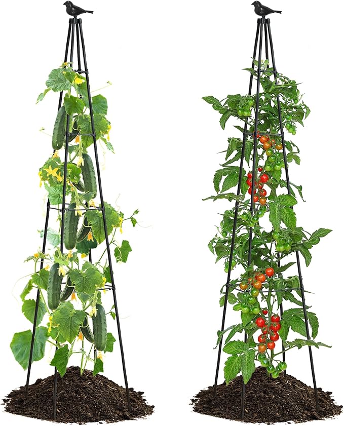 Garden Trellis for Climbing Plants Outdoor, 67" Tall Metal Obelisk Trellis Climbing Plants Support for Vegetable|Flower|Vine, Tomato, Peas, Beans, Cucumber, Lightweight, 2 Pack