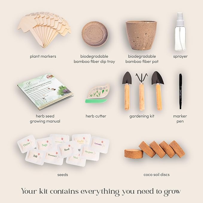 Window Herb Garden Kit – 10 GMO-Free Indoor Herbs with Biodegradable Bamboo Pots – Eco-Friendly Kitchen Planter Set for Easy Gardening & Sustainable Growing – A Unique Gift for Women and Kids