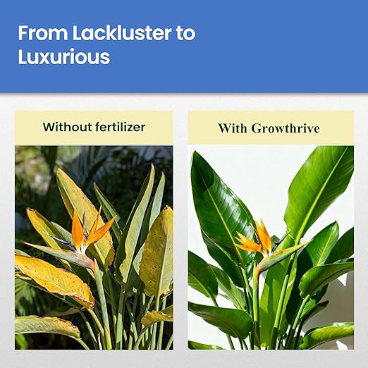 Bird of Paradise Liquid Fertilizer, 10 oz Natural Plant Food for Indoor & Outdoor Bird of Paradise, Organic Probiotic Formula for Bigger Leaves, Brighter Blooms & Strong Root Growth