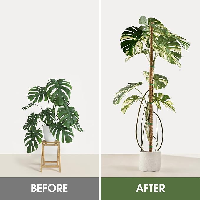 Moss Pole, 63 Inch Bendable Moss Pole for Plants Monstera, Moss Poles for Climbing Plants, Handmade Coco Coir Pole Plant Sticks Support Plant Stakes for Indoor Plants to Grow Upwards