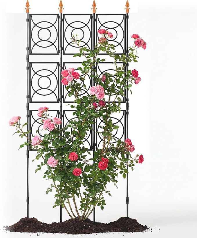 Trellis for Climbing Plants Outdoor, 24 Rifny Tall Garden Trellis Flower Rose Cucumber Trellis for Vines Pea Support, Wall Large Plant Trellis Fence with Plastic Coated Metal Poles, 3 x 6.2 FT