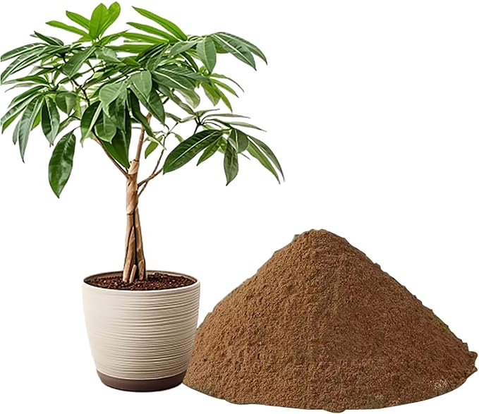 5.5 LBS Pond Plant Potting Media, Nutrient-Rich Aquatic Soil for Water Gardens, Supports Strong Root Growth