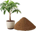 5.5 LBS Pond Plant Potting Media, Nutrient-Rich Aquatic Soil for Water Gardens, Supports Strong Root Growth