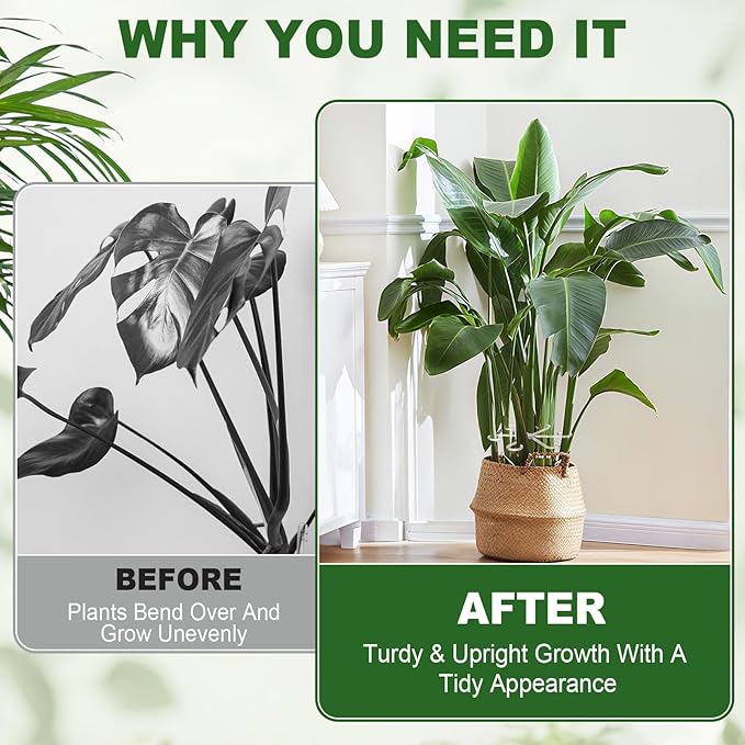 16pcs Upgraded Plant Stem Support, Transparent Plant Support for Indoor Plants, 4 Sizes Climbing Houseplant Stem Holders, Reusable Plant Stabilizer, Indoor Plants Accessories