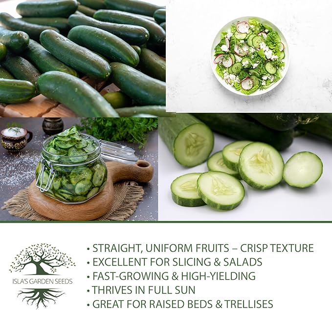 Straight Eight Cucumber Seeds – 150+ Heirloom Non-GMO Seeds by Isla’s Garden Seeds, Crisp & Tender, High-Yield, 90% Germination Rate, Perfect for Slicing, Easy to Grow, Great for Home Gardens or Gift