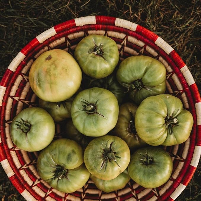 Aunt Ruby's German Green Tomato - 50 Seeds - Unique Heirloom Variety, Sweet & Subtly Spicy Flavor, Non-GMO Heirloom Tomato Seeds for Planting in The Home Garden, Thresh Seed Company