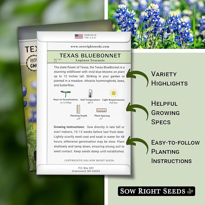 Sow Right Seeds - Texas Bluebonnet Seeds to Plant - Non-GMO Heirloom Seeds -Full Instructions for Planting - Beautiful Perennial Blue Blooms -Sweet Addition to Your Yard (2)