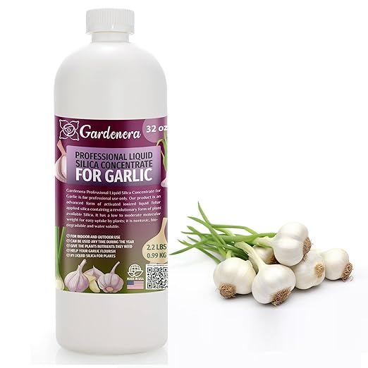 𝐏𝐑𝐎𝐅𝐄𝐒𝐒𝐈𝐎𝐍𝐀𝐋 Liquid Silica Plant Supplement - 32oz - Garlic Plants Liquid Silica Boost Fertilizer - Stronger Stems & Healthy Leaves for Indoor & Outdoor Garlic Plants (Makes 180 Gallons)
