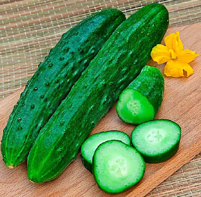 Cucumber Zozulya F1 Seeds – Hybrid, Parthenocarpic (Self-Pollinated) | 45–50 Days to Harvest | Early, High-Yield Variety for Greenhouses & Containers