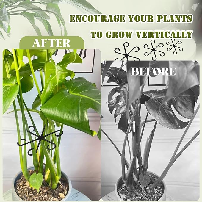 12Pcs Plant Stem Supports, Reusable Plastic Plant Accessories Indoor, Monstera Plant Support for Climbing Houseplants, Stakes Trellis Stem Hook Growth Tools for Neat Garden Arrangement(Black)