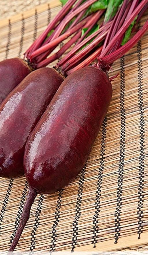 CEMEHA SEEDS - Seeds Beet Long Beetroot Dark Rival Red Non GMO Vegetable for Planting