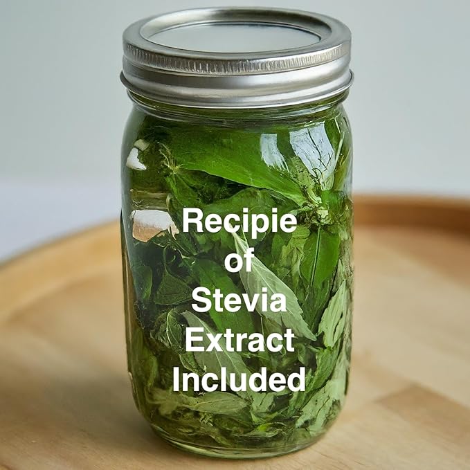 Natural Herbal Live Zero Calorie Sugar Replacement. Stevia Plants. Sweet Leaf, Sugar Leaf, Natural Sugar Substitute Herb, Easy to Grow (2 stevia sacs)