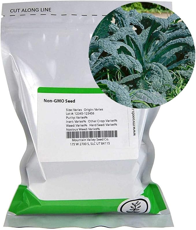 Lacinato Kale Vegetable Garden Seed- 4 Oz ~32,000 Seeds - Non-GMO, Heirloom Gardening & Microgreens Seeds - Aka Dinosaur Kale