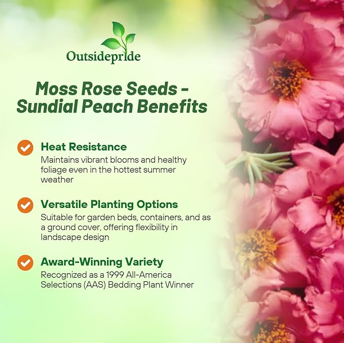 Outsidepride Sundial Peach Portulaca Moss Rose Seeds - 500 Pcs Annual, Heat & Drought Tolerant, Soil Adaptable Moss Seeds Ground Cover & Flower Seeds for Planting in Gardens & Xeriscapes (AAS Winner)