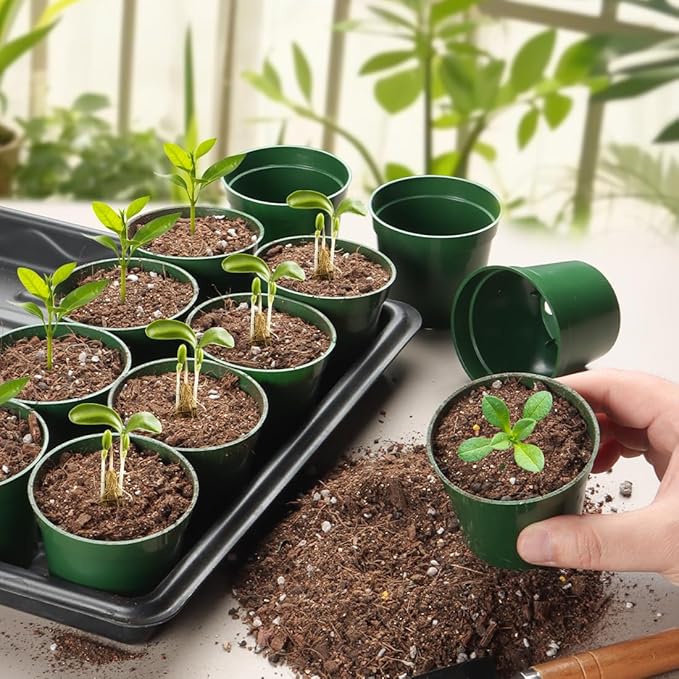 RooTrimmer 100 Pack 2.5 Inch Small Plant Pots, Plastic Nursery Pots for Plants, Seedling Pots for Planting Seeds, Succulents, Vegetables, Green