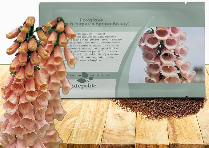 Outsidepride Digitalis Purpurea Apricot Beauty Foxglove Seeds – 10000 Pcs Biennial, Prolific, Tall Growing Flower Seeds with Pollinator-Friendly Blooms for Shaded Gardens & Outdoor Landscapes