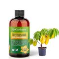 𝐏𝐑𝐄𝐌𝐈𝐔𝐌 Liquid Silica Plant Supplement - 8oz (250mL) - CARAMBOLA Plants Liquid Silica Boost Fertilizer - Stronger Stems & Healthy Leaves for Indoor & Outdoor Carambola Plants (Makes 45 Gallons)