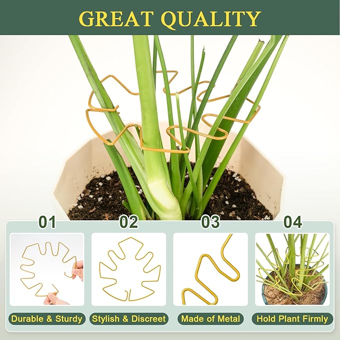4 Pack Plant Stem Support, Adjustable Metal Monstera Plant Support Small 2PCS & Large 2PCS, Plant Supports for Indoor Plants Moss Pole Growth Plant Support Ring (Gold)