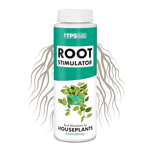 Root Stimulator for Houseplants – Liquid Root Supplement with Kelp & Probiotics for Stronger Roots & Better Nutrient Uptake, 8 oz