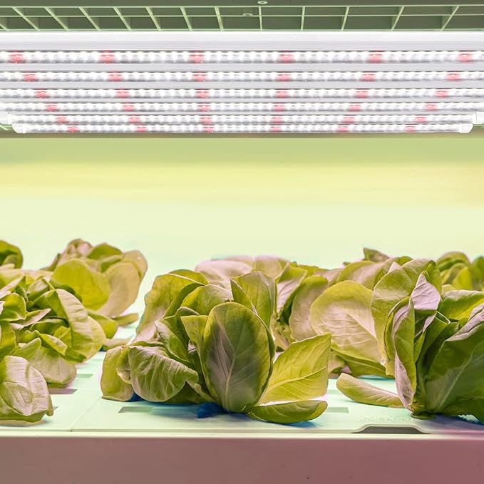 GYTF Plant Grow Light Strips, 204 LED-Bulbs 5000K White Full Spectrum Grow Light Strips for Indoor Plants, Succulents, Seeds Starting, Greenhouse, End-to-End Connection (4x10W, 200W Equivalent)