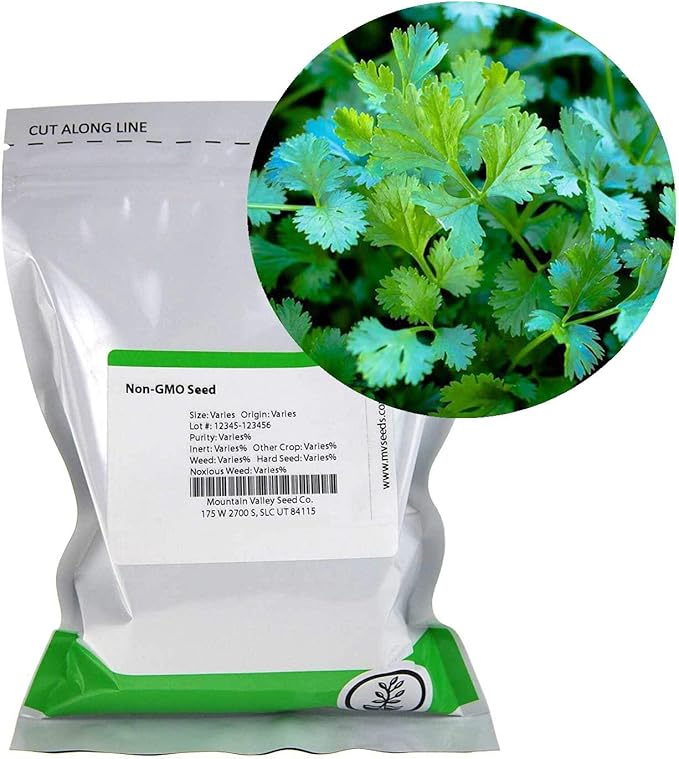 Slow Bolt Cilantro Herb Garden Seeds - 4 Oz ~10,000 seeds - Non-GMO Heirloom Slow Bolt Cilantro Herb Seeds (Coriander) - Outdoor Garden, Indoor Garden, Countertop Microgreens, Organic Micro Greens Kit