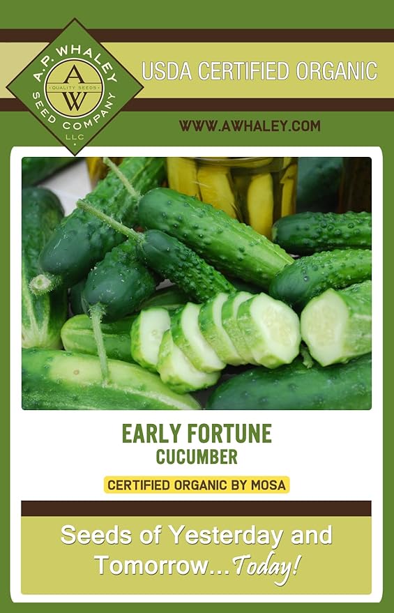 Early Fortune Cucumber | Organic Bulk Seed Pack (1 oz.) | Heirloom, Non-GMO Seed | Commercial Quality