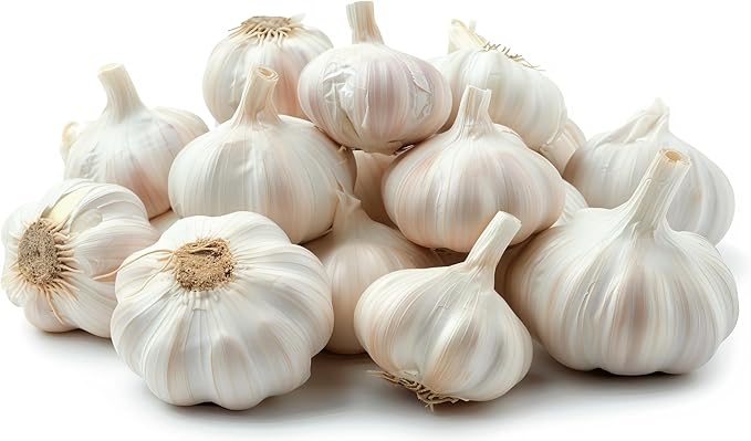 Garlic Bulbs for Seed - Fresh California SOFTNECK Garlic for Planting - Grow Your Own Garlic (20 Bulbs)