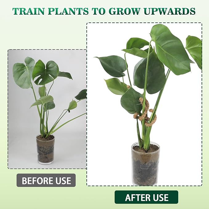 2PC Bendable Plant Climbers Stem Holders, 11.8 Inch Natural Coconut Fiber Climbing Houseplant Monstera Stem Supports, Reusable Flower Plant Stakes Trellis Stem Growth Accessories for Plant Indoor