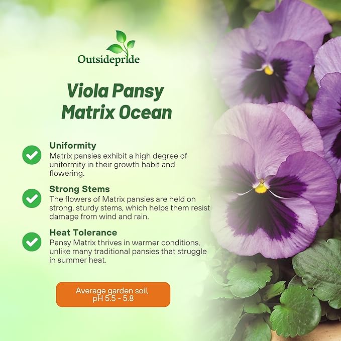 Outsidepride Ocean Pansy Seeds for Planting - 100 Pcs. Biennal, Cold-Hardy & Pollinator Friendly Flowers with Fragrant Blooms for Garden Beds, Borders & Container Displays