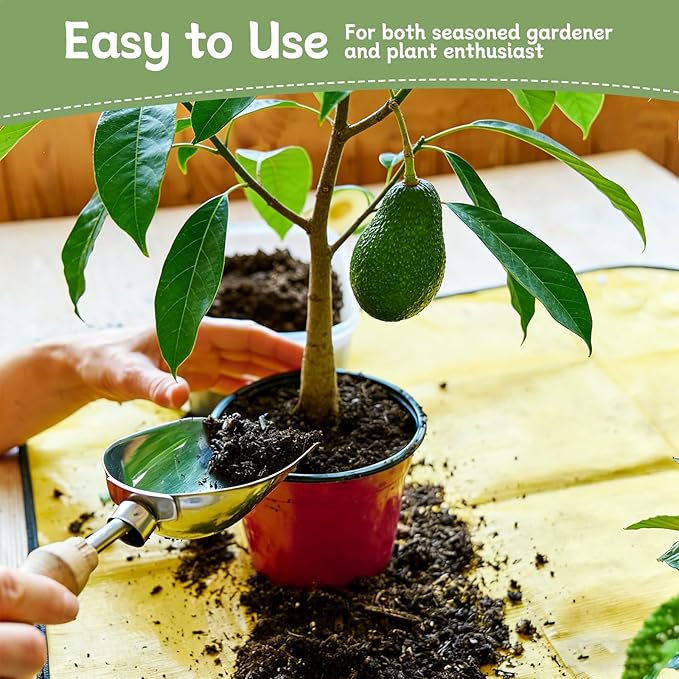 Avocado Soil 2qt, 100% Natural Organic Potting Soil for All-Stage Avocado Tree Growth