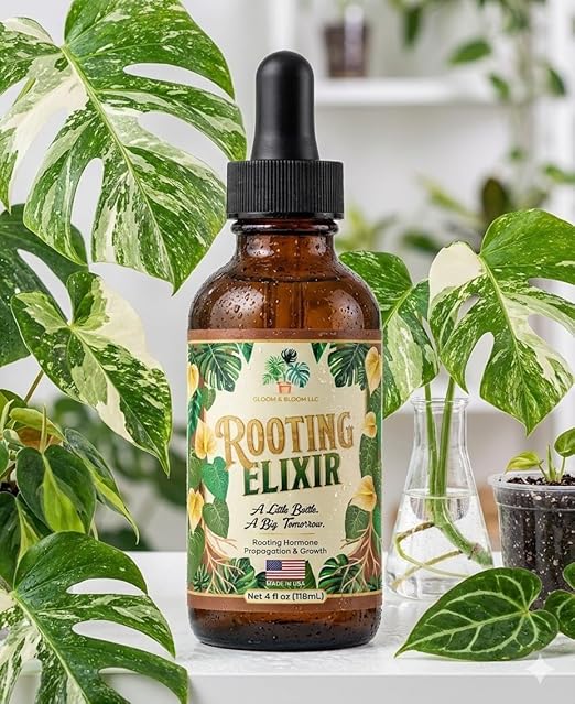 Houseplant Prop Drops – Rooting Elixir – Liquid Rooting Hormone for Cuttings & Propagation – Extra-Strength IBA Hormone – Supports Strong Root Growth – Monstera, Philodendron, Anthurium, Fiddle Leaf