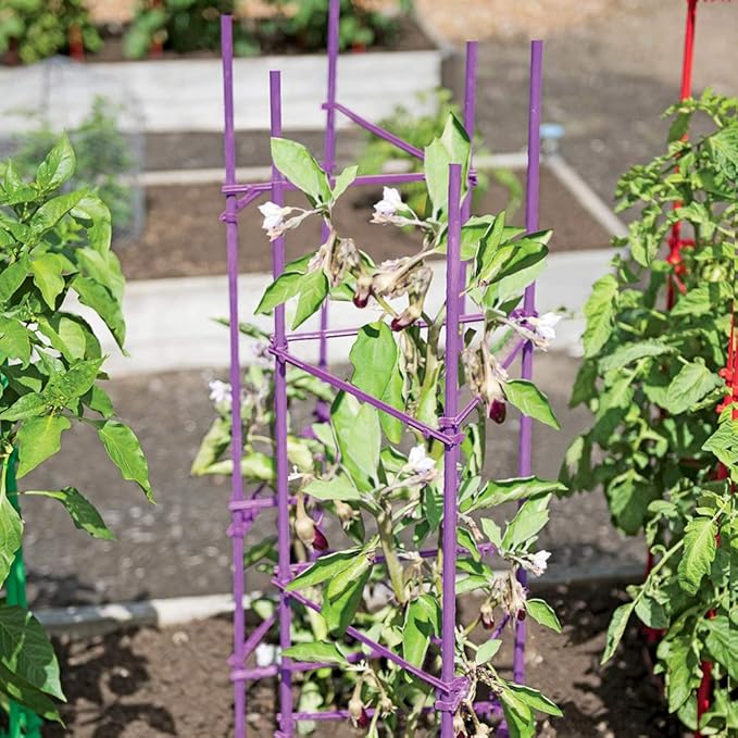 Tomato Cage 5ft 6-Pack Large Tall Tomato Cages Tomato Stakes Plants Supports Garden Stakes,40 Clips and Plant Ties Include, Green