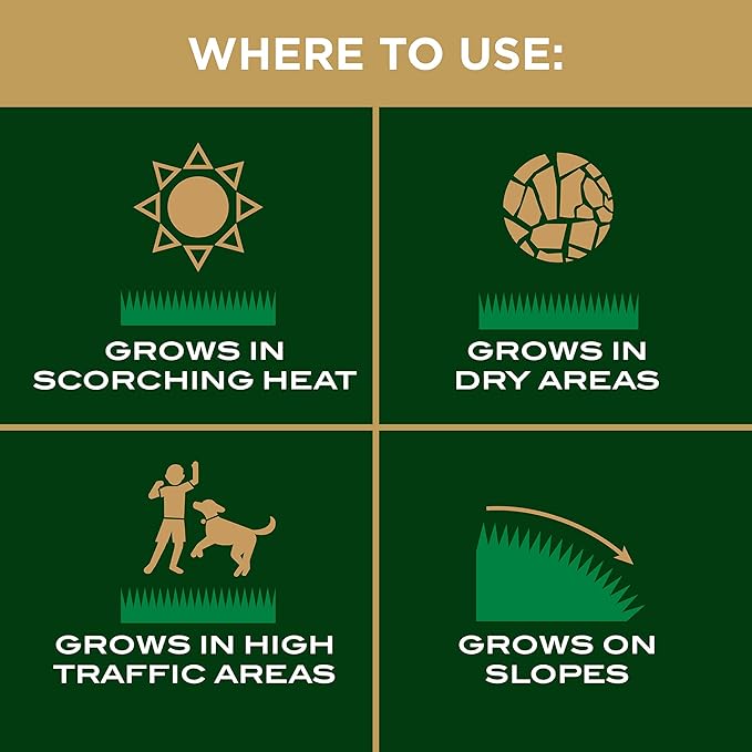 Scotts EZ Seed Bermudagrass - 3.75 lb., Combination Mulch, Seed and Fertilizer, for Tough Conditions Like Scorching Heat and Dry Areas, Grows on Slopes and in High Traffic Areas (Pack of 4)