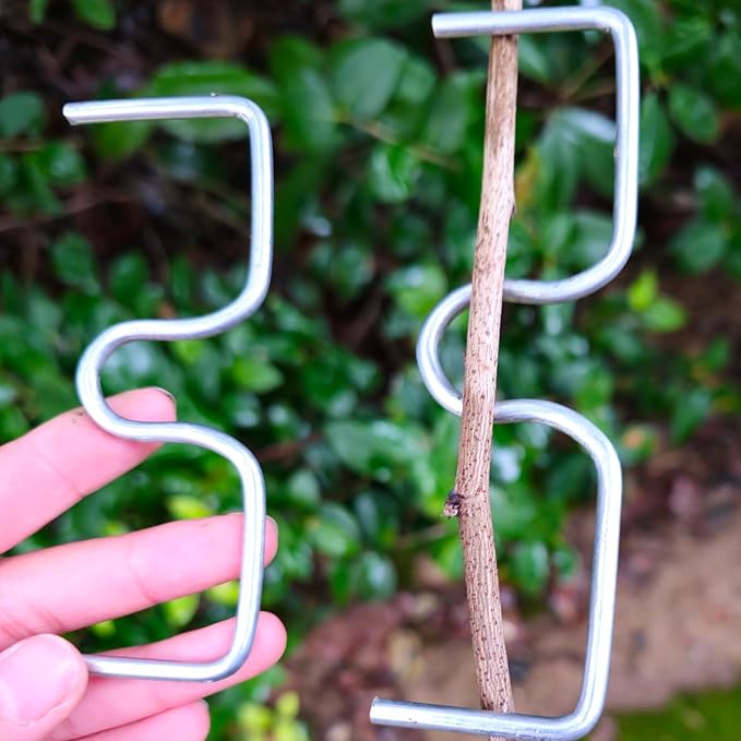 15 Pcs Fruit Tree Branch Puller Tying Machine Farm Tools New Plum Tree Open Angle Pull Branch Stereotyped Branch Bending Tool Fruit Branch M-3.94(inch)