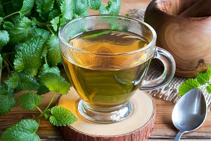 Seeds Herb Lemon Balm (Melissa Officinalis) Medicinal - 300 Seeds