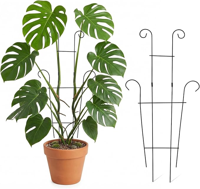 2pcs Plant Trellis Vine Plant Support Assembled and Rustproof for Pothos Hoya Ivy Monstera Flower for Garden Potted Plant Indoor Outdoor 24.7inch