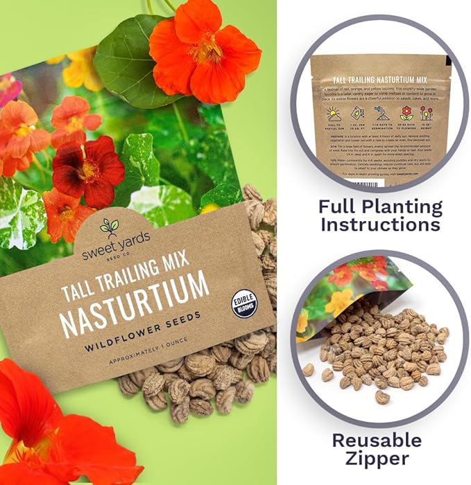 Nasturtium Seeds – Mixed Colors – Extra Large Packet – Over 200 Open Pollinated Non-GMO Flower Seeds – Tropaeolum majus