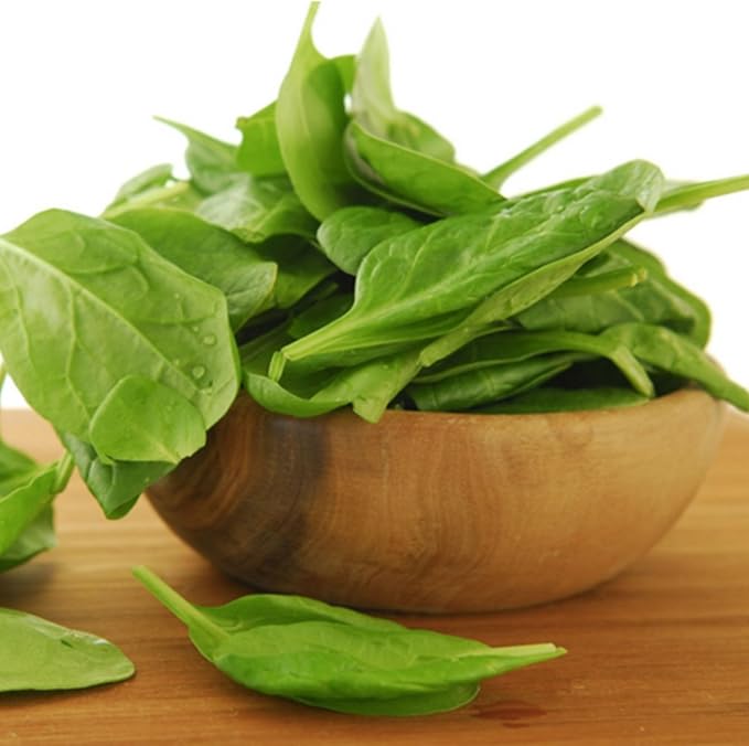 Sorrel Odessa Seeds – Perennial Herb | Heirloom, Non-GMO, Tender & Tangy Leafy Green for Culinary Use