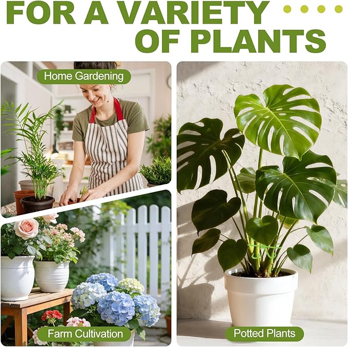 40PCS Plant Stem Support, Plant Support for Indoor Plants, Reusable Plant Support Clips, Climbing Houseplant Stem Holders, Indoor Plants Accessories