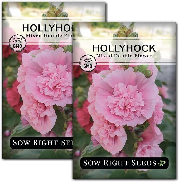 Sow Right Seeds - Double Flower Mixed Hollyhock Seeds for Planting - Non-GMO Heirloom Packet with Instructions to Plant an Outdoor Cottage Garden - Tall Ruffled Mix of Pink, Yellow, Red & White (2)